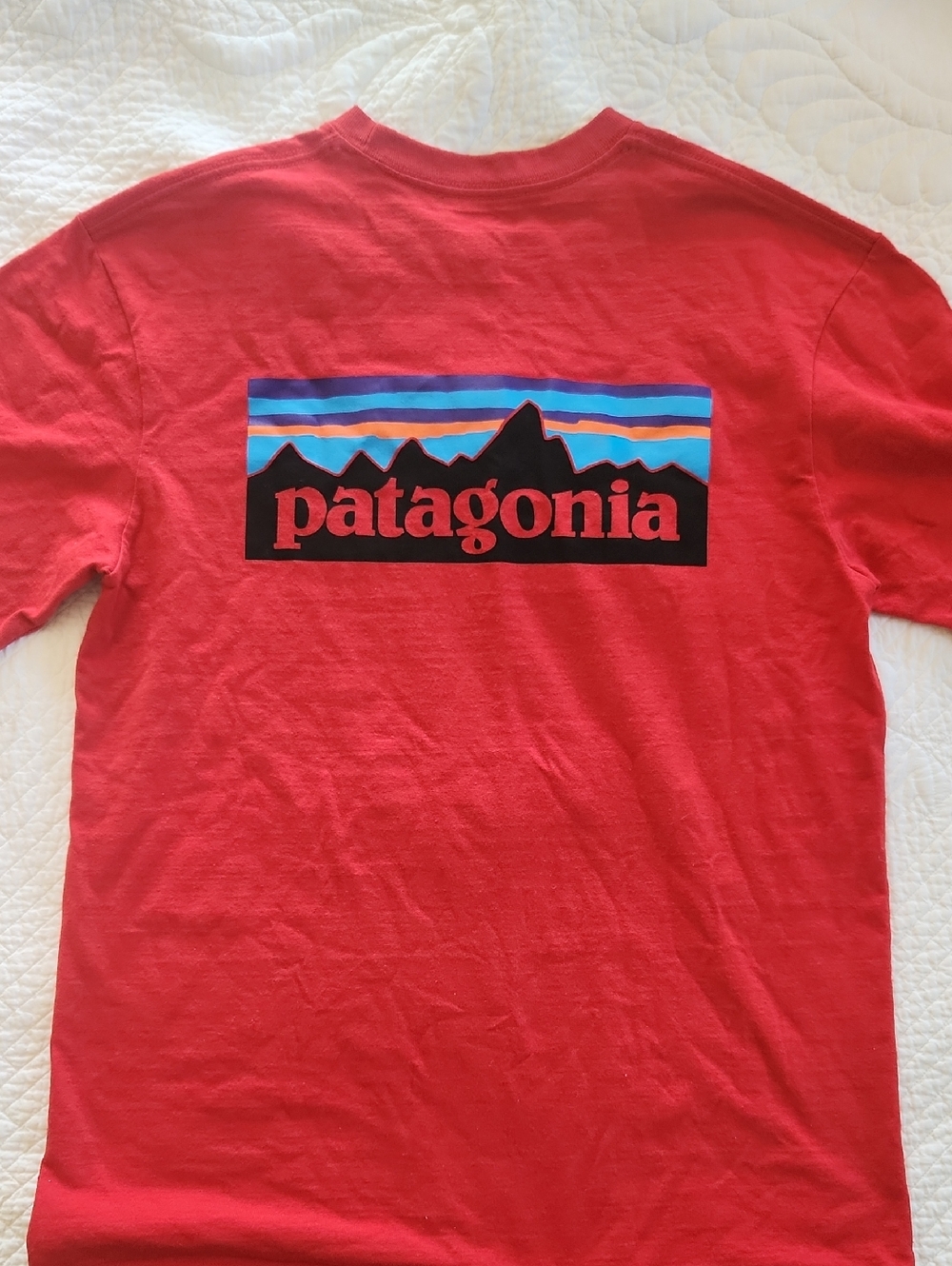 Men's Patagonia Shirt